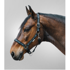 Невуздок Waldhausen LITTLE HORSE 