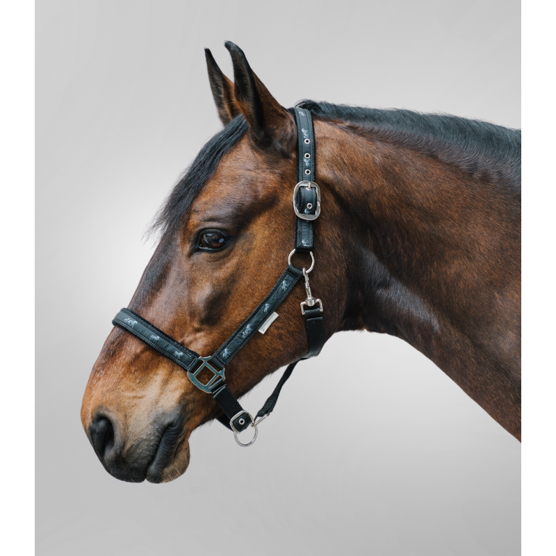 Невуздок Waldhausen LITTLE HORSE 