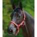 Невуздок Waldhausen LITTLE HORSE 