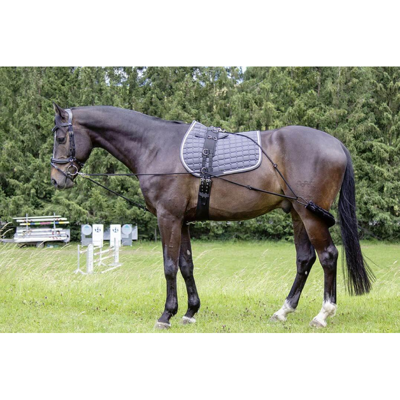 Комбітренер (шлея Пессоа) НКМ/Waldhausen синтетичний Комбітренер (шлея Пессоа) НКМ/Waldhausen синтетичний