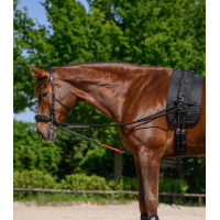 Waldhausen W-trainRein