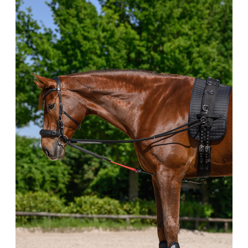 Waldhausen W-trainRein