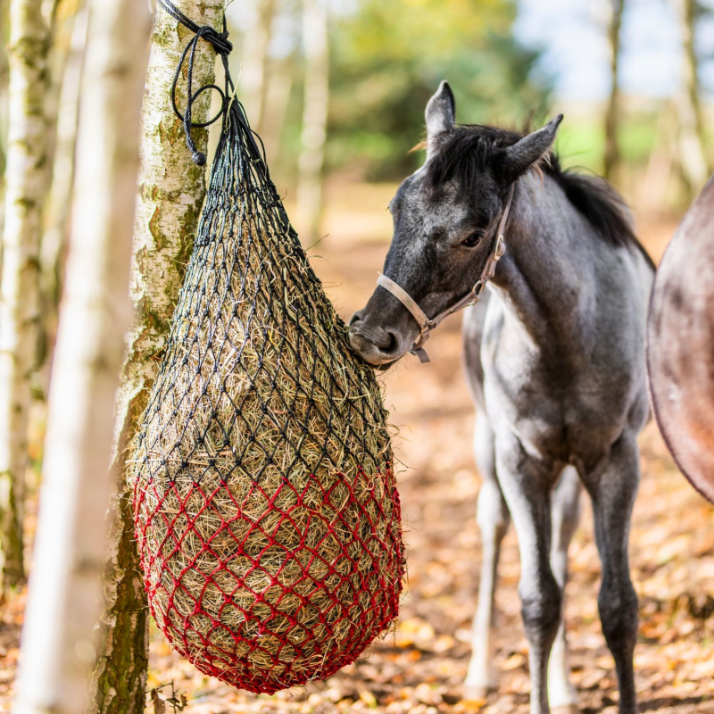 Рептух York Duo