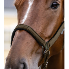 Недовуздок Waldhausen -Athletic- 